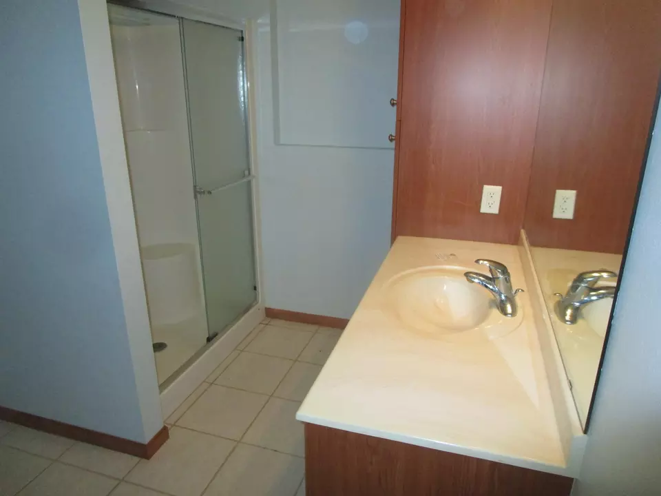 Bath - 219 Ashley Ln, Alexandria, MN 56308 photo 3 of 3