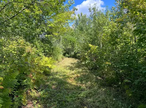 tbd Butternut Rd, Brainerd, MN 56401 photo 18