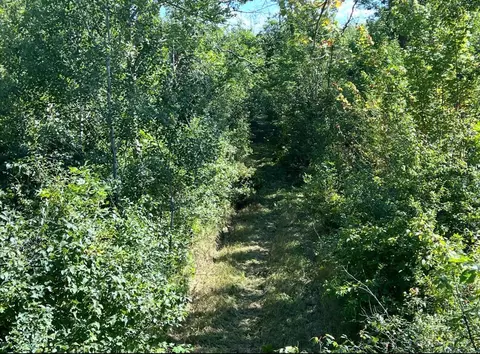 tbd Butternut Rd, Brainerd, MN 56401 photo 12
