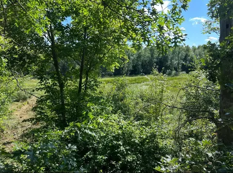 tbd Butternut Rd, Brainerd, MN 56401 photo 15