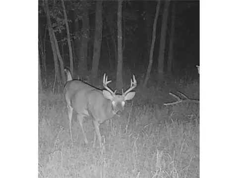 tbd Butternut Rd, Brainerd, MN 56401 photo 9