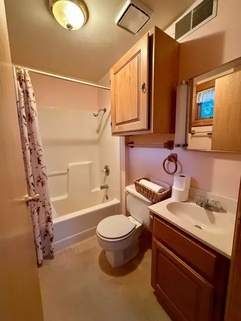 Bath - 803 N Broadway Ave, Le Roy, MN 55951 photo 1 of 2