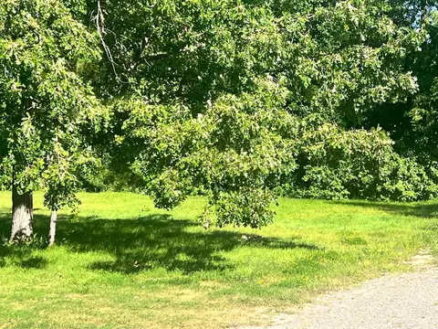 tbd Garden St, Walker, MN 56484 photo 4