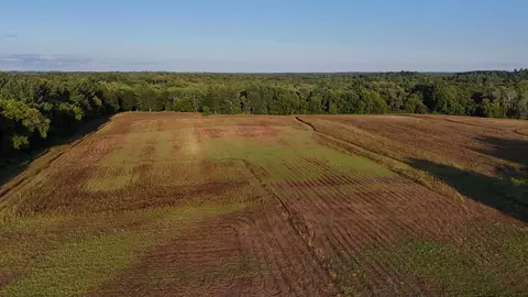 37 Nnn Verdin St NW, Stanchfield, MN 55080