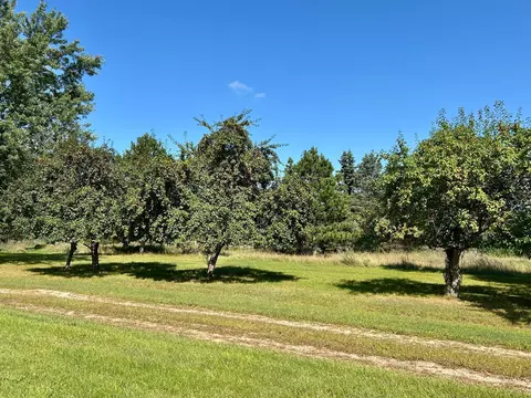 32541 615th Ave, Wadena, MN 56482 photo 9