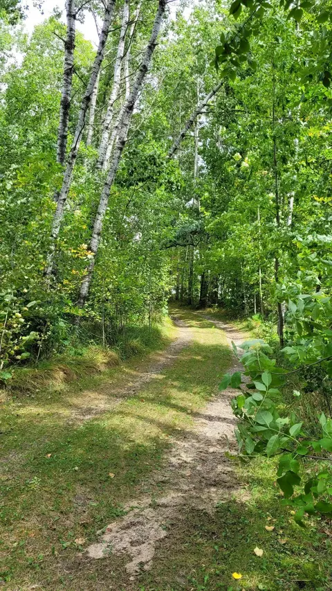 tbd Cr 43, Pine River, MN 56474 photo 10