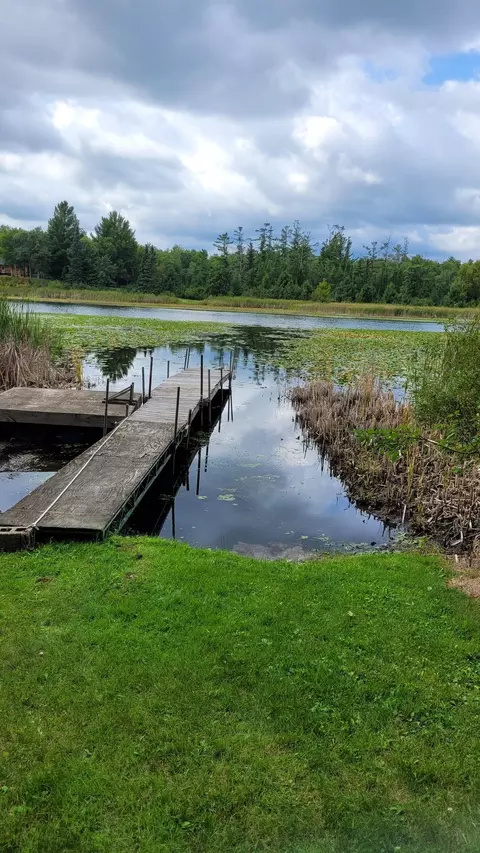 tbd Cr 43, Pine River, MN 56474 photo 2