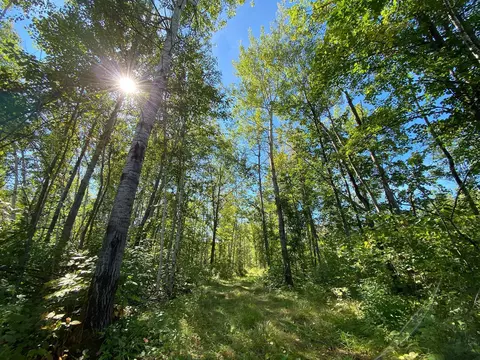 4048 Little Rd, Barnum, MN 55707