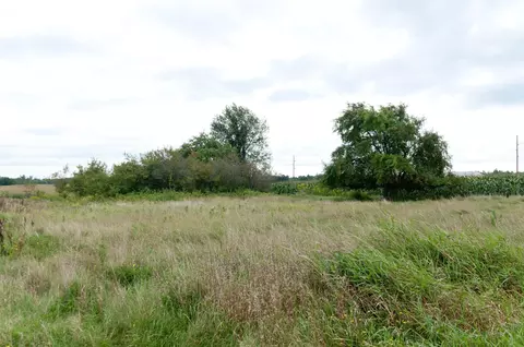 0 Hwy 40, Bruce, WI 54819