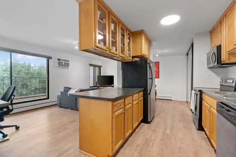 4110 Rahn Rd #315, Eagan, MN 55122 photo 10