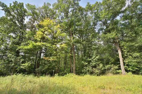 tbd Thesing Rd, Brainerd, MN 56401 photo 4