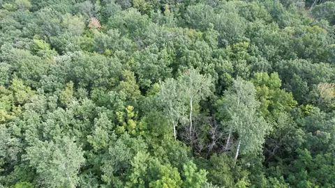 tbd Thesing Rd, Brainerd, MN 56401 photo 17