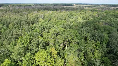 tbd Thesing Rd, Brainerd, MN 56401 photo 13