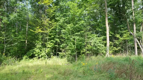 tbd Thesing Rd, Brainerd, MN 56401 photo 9