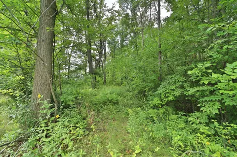 tbd Thesing Rd, Brainerd, MN 56401 photo 8