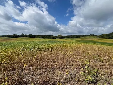 tbd Placid Dr, Edna Twp, MN 56573