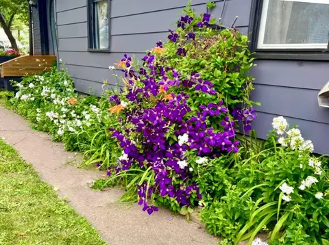 Exterior - 5324 Juniata St, Duluth, MN 55804 photo 5 of 18