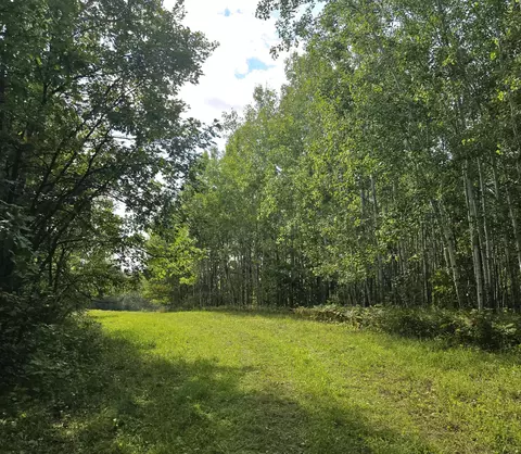 tbd Leonard Rd Soo Line Rd, Holst Twp, MN 56652 photo 27