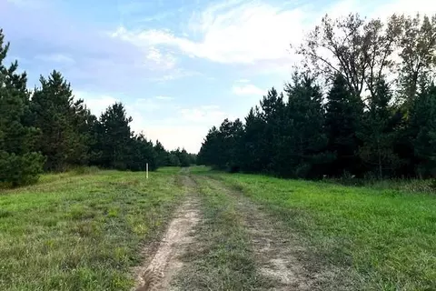 tbd Leonard Rd Soo Line Rd, Holst Twp, MN 56652 photo 11