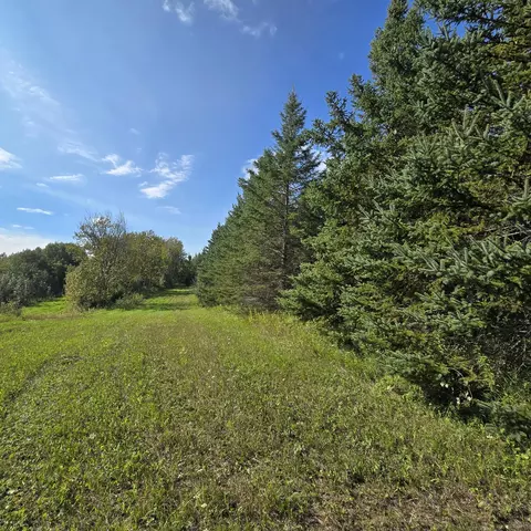 tbd Leonard Rd Soo Line Rd, Holst Twp, MN 56652 photo 4
