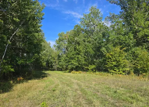 tbd Leonard Rd Soo Line Rd, Holst Twp, MN 56652 photo 10