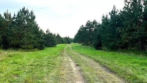 tbd Leonard Rd Soo Line Rd, Holst Twp, MN 56652