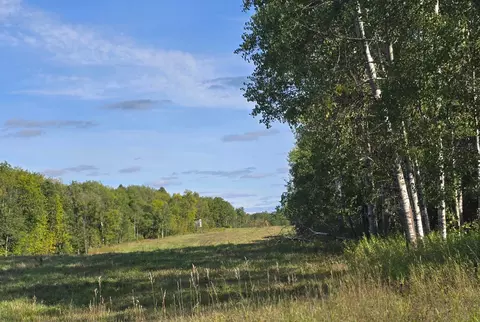 tbd Leonard Rd Soo Line Rd, Holst Twp, MN 56652 photo 9
