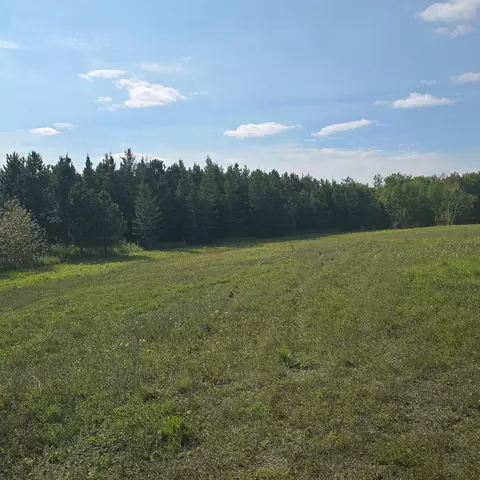 tbd Leonard Rd Soo Line Rd, Holst Twp, MN 56652 photo 14