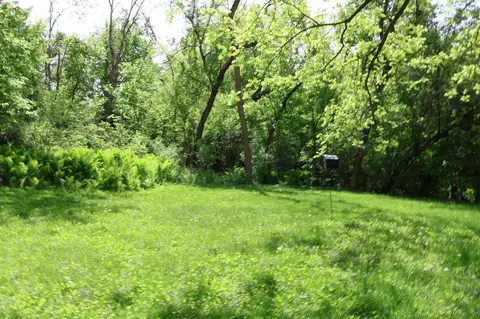 Exterior - 591 E 7th St, Red Wing, MN 55066 photo 10 of 10