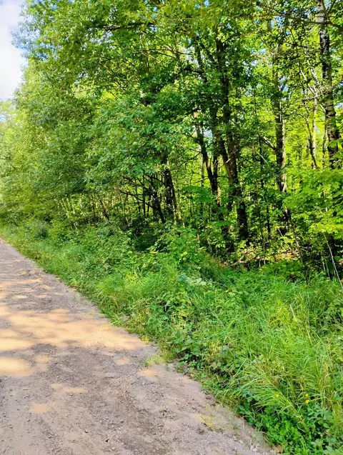 tbd Olson Rd, Dell Grove Twp, MN 55037