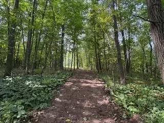 tbd 185th St, Milaca Twp, MN 56353 photo 15