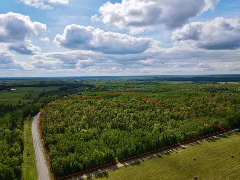 37139 Hanson Rd, Bigfork, MN 56628