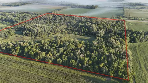 tbd 65th St NE, Foley, MN 56329
