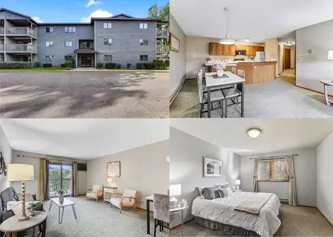 930 Lyn Way #204, Hastings, MN 55033