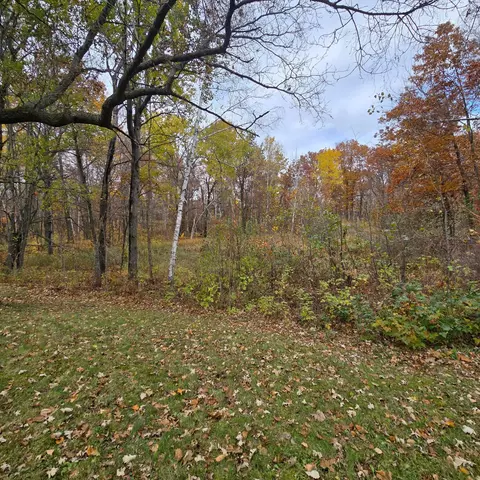 Exterior - 47802 Xylophone Rd, Garrison, MN 56450 photo 7 of 7
