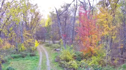 Other - 47802 Xylophone Rd, Garrison, MN 56450 photo 2 of 12