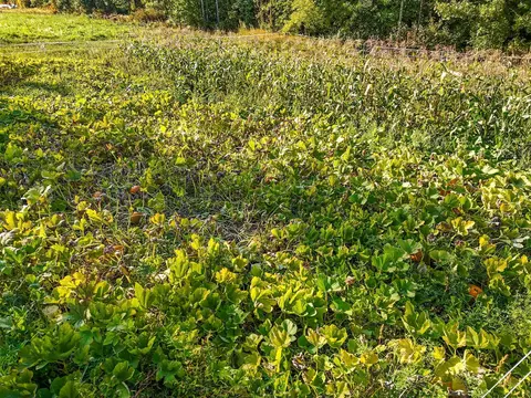 Other - 28816 450th St, Laporte, MN 56461 photo 16 of 20
