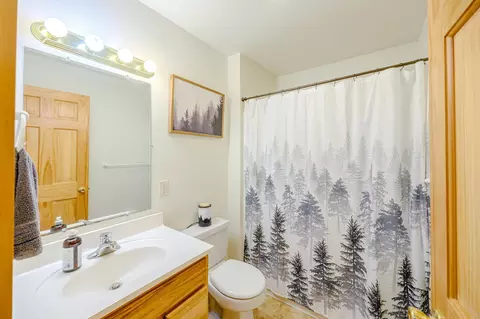 Bath - 28816 450th St, Laporte, MN 56461 photo 3 of 4