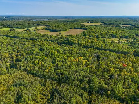 View/Area - 28816 450th St, Laporte, MN 56461 photo 10 of 22