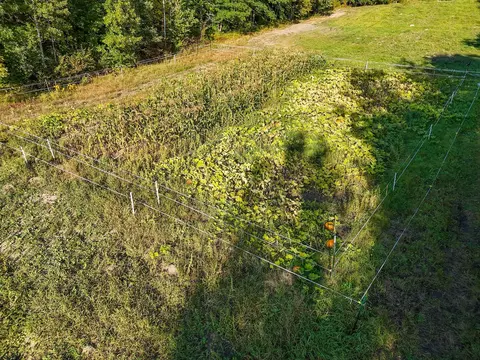 Other - 28816 450th St, Laporte, MN 56461 photo 13 of 20