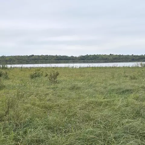 tbd S Gull Lake Rd NE, Port Hope Twp, MN 56683
