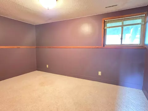 330 6th Ave NE, Plainview, MN 55964 photo 40