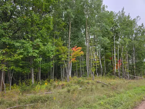 Nnnn Tract C Pioneer Road, Barnum, MN 55707