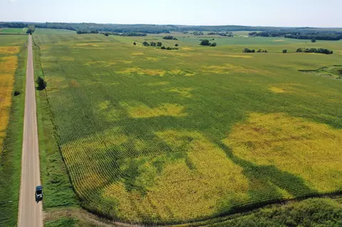 tbd X 190th St, Battle Lake, MN 56515