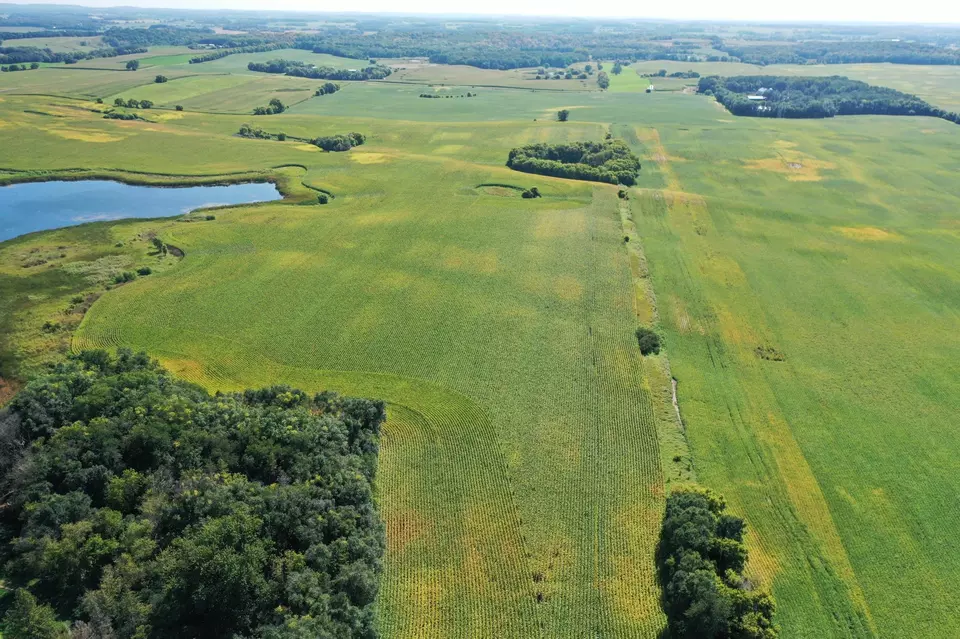  tbd 190th St, Clitherall Twp, MN 56515 photo 2