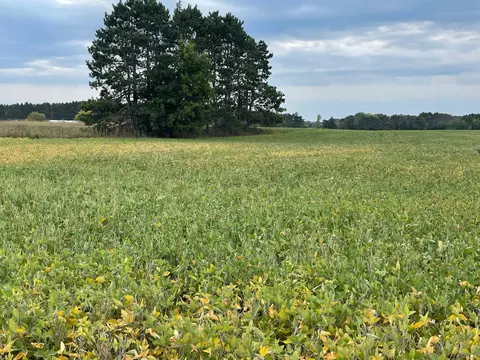 tbd Verdin St NW, Cambridge, MN 55008