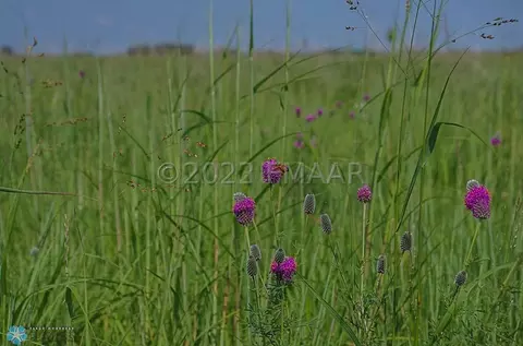 ---- -----, Ulen, MN 56585 photo 3