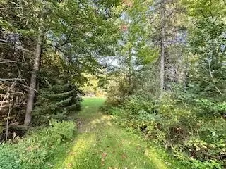 7345 Rahkola Rd, Embarrass, MN 55732 photo 53