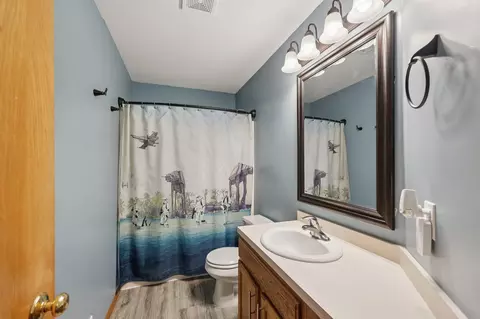 Bath - 28968 Danel Ave, Randolph, MN 55065 photo 1 of 3