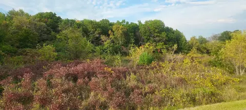 Nnn Lot 3 County Line Avenue, Black Brook Twp, WI 54007